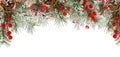 Christmas border of green fir branches with snow, red berries and cones isolated on white