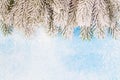 Christmas border. Green snowy fir branches on blue frozen texture background with copy space Royalty Free Stock Photo