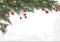 Christmas border with holly isolated on white