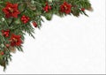 Christmas border of holly,poinsettia, mistletoe, fir tree,cones Royalty Free Stock Photo