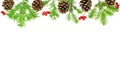 Christmas Border. Pine cones, fir branches, red berries on white background. New Year concept