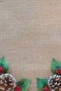 Christmas border of pinecones, red berries, and holly leaves with rustic fabric background Royalty Free Stock Photo