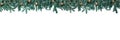 Christmas Border tree branches isolated on white, horizontal banner. Christmas or New Year background. top view, copy space Royalty Free Stock Photo