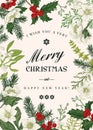 Christmas botanical card. Royalty Free Stock Photo