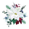 Christmas bouquet arranged from white poinsettia, parvifolia