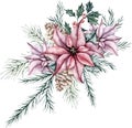Christmas bouquet of red poinsettia flower, pine cone, silver plant Dusty Miller, snowberry, waxberry, or ghostberry and