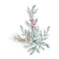 Christmas bouquet of snowberry and emerald spruce branch, pine cone, rosemary twig, fir, cedar. Hand painted watercolor