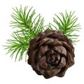 Christmas branch hanging pine cone Royalty Free Stock Photo