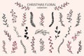 Christmas branch. Holly plants, twigs and leaves, pine sketch with leaf and flower, berries decoration. Botanical