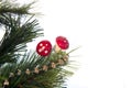 Christmas branch tree Royalty Free Stock Photo
