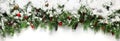 Green Christmas branches with berries covered in snow background Royalty Free Stock Photo