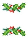 Christmas branches. Red berries. Royalty Free Stock Photo