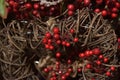 Christmas branches with red berries Royalty Free Stock Photo