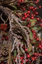 Christmas branches with red berries Royalty Free Stock Photo