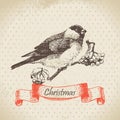 Christmas bullfinch and ashberry