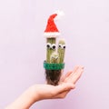 Christmas cactus. Creative christmas concept. New Year. Funny cactus with eyes. At the top of the cactus is wearing a