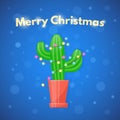 Christmas cactus