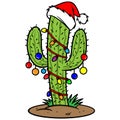 Christmas Cactus