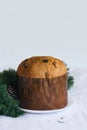 Christmas cake panettone with copy space