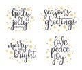 Christmas calligraphy set Royalty Free Stock Photo