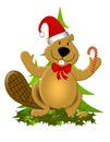 Christmas Canada Beaver Royalty Free Stock Photo