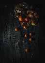 Christmas candle and christmas tree pumkin oranges on black background isolated Royalty Free Stock Photo