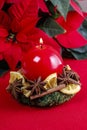 Christmas candle holder made of moss, dried fruits and cinnamon sticks Royalty Free Stock Photo