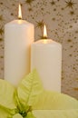 Christmas Candles and Poinsettia Royalty Free Stock Photo