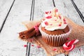 Christmas candy cane cupcake close up on white wood Royalty Free Stock Photo