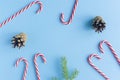 Christmas candy canes and fir branches flat lay Royalty Free Stock Photo