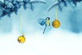 Christmas card with bird tit spreading wings hanging on a shiny gold festive balls on the tree in the winter park Royalty Free Stock Photo