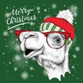 Christmas card with camel in winter hat. Merry Christmas lettering design.