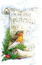 Christmas card. Christmas bird watercolor.