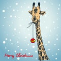 Christmas card hand drawn giraffe with xmas ball hanging from his mouth