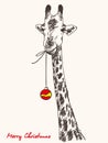 Christmas card giraffe with xmas ball hanging from his mouth