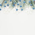 Christmas card composition. Xmas border with blue frozen berries, snowflakes and Xmas tree branch isolated on white background. Royalty Free Stock Photo