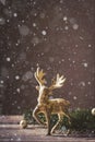 Christmas card conception. Christmas toy deer decoration with christmas tree branch and snow Royalty Free Stock Photo