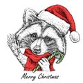 Christmas card with cute Raccoon portrait in red Santa`s hat and scarf. Vector illustration Royalty Free Stock Photo