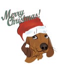 Christmas Card with Dachshund Dog