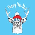 Christmas card with deer in winter hat. Merry Christmas lettering design. Vector illustration Royalty Free Stock Photo