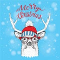 Christmas card with deer in winter hat. Merry Christmas lettering design. Vector illustration Royalty Free Stock Photo