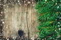 Christmas card of fir tree on rustic wooden background Royalty Free Stock Photo