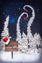 Christmas card with fir trees and night sky Royalty Free Stock Photo