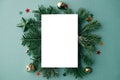 Christmas card flat lay. Modern greeting card mock up with stylish christmas decorations, fir branches, ornaments on green Royalty Free Stock Photo