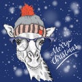 Christmas card with giraffe in winter hat. Merry Christmas lettering design. Vector illustration
