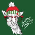 Christmas card with giraffe in winter hat. Merry Christmas lettering design. Vector illustration