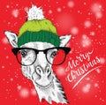 Christmas card with giraffe in winter hat. Merry Christmas lettering design. Vector illustration