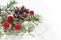 Christmas card with a green branch of a Christmas tree with red berries and a pine cone on a white background Royalty Free Stock Photo