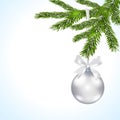 Christmas card. Green branches of a Christmas tree with silver balls and ribbon