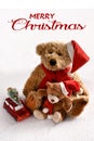 Christmas Card With Greetings And Vintage Style Teddy Bears With Santa Cap On White Snow Background